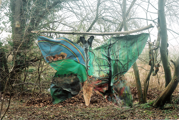 Favourable Auguries 2007