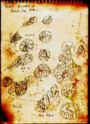 Sketches of Leaves