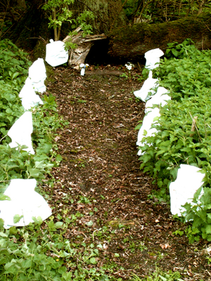 Shrine Approach 2003